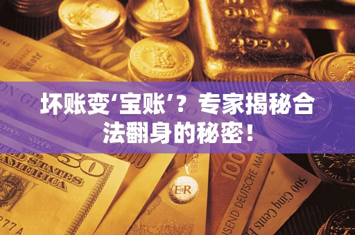 武汉坏账变‘宝账’？专家揭秘合法翻身的秘密！