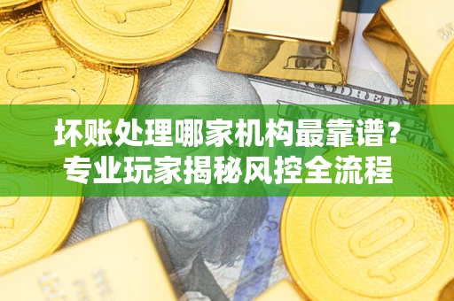 武汉坏账处理哪家机构最靠谱？专业玩家揭秘风控全流程