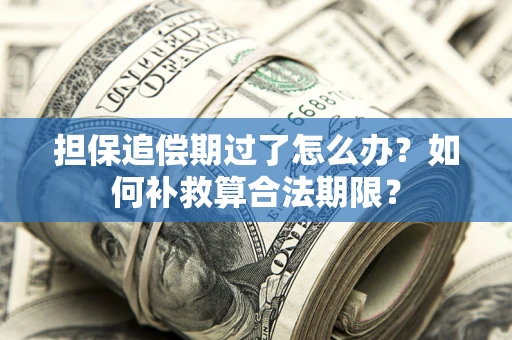 武汉担保追偿期过了怎么办？如何补救算合法期限？