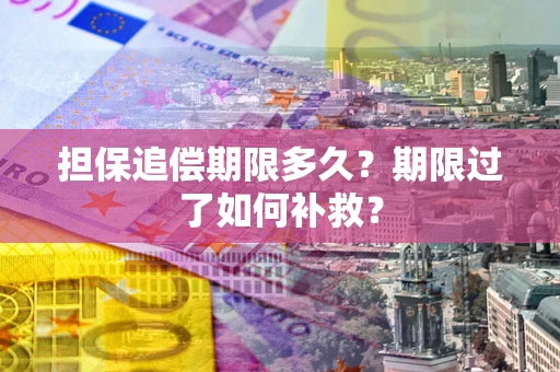 武汉担保追偿期限多久？期限过了如何补救？