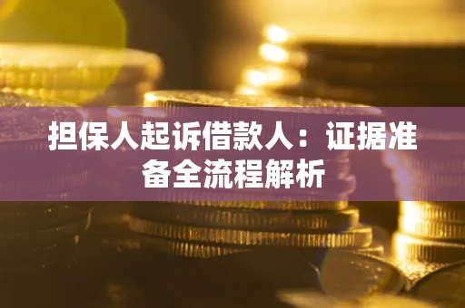 武汉担保人起诉借款人：证据准备全流程解析