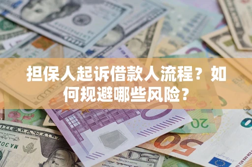 武汉担保人起诉借款人流程？如何规避哪些风险？