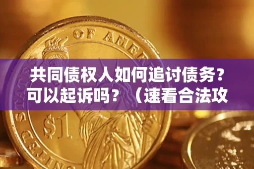 武汉共同债权人如何追讨债务？可以起诉吗？（速看合法攻略）