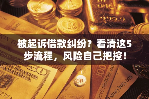 武汉被起诉借款纠纷？看清这5步流程，风险自己把控！