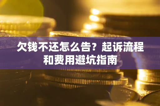 武汉欠钱不还怎么告?起诉流程和费用避坑指南 武汉欠钱不还怎么告?起诉流程和费用避坑指南